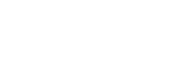 logo_alt_tag_promower