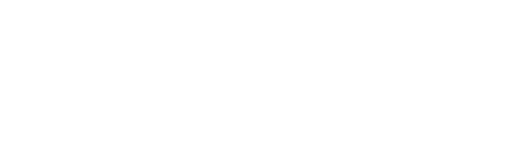 logo_alt_tag_promower