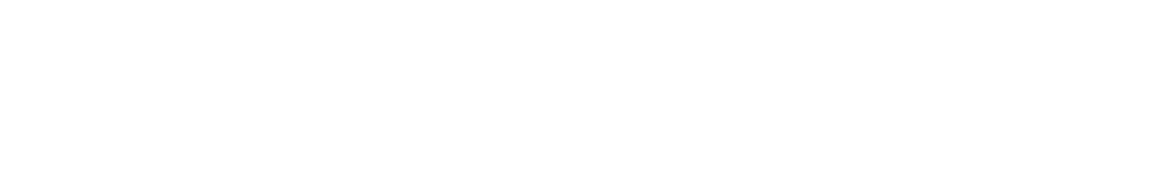 logo_alt_tag_promower