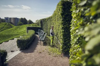 525iHE4 akkumulátoros magassági sövényvágó  (csak gép) 8.Kép